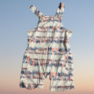 Wonder Nation 24M Unisex Tropical Shorts Overalls Palm Trees